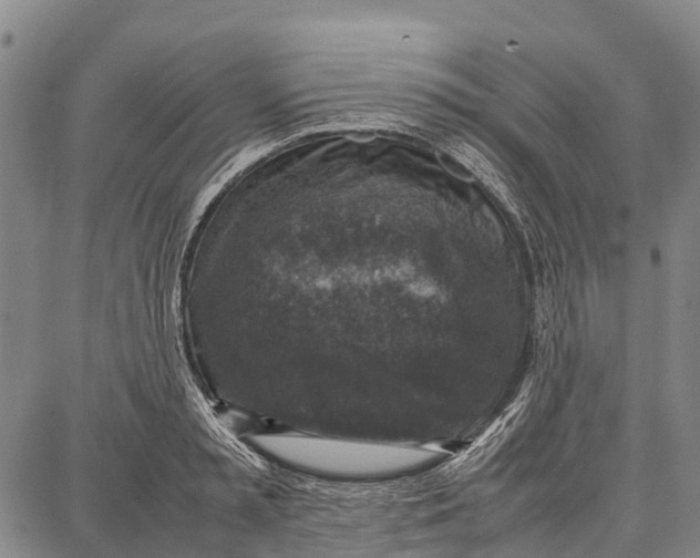 X0000087050797200705091134