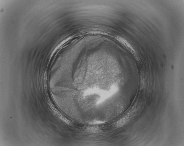 X0000087050798200705091134