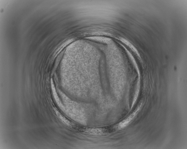 X0000087050801200705091134