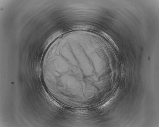 X0000087050802200705091134