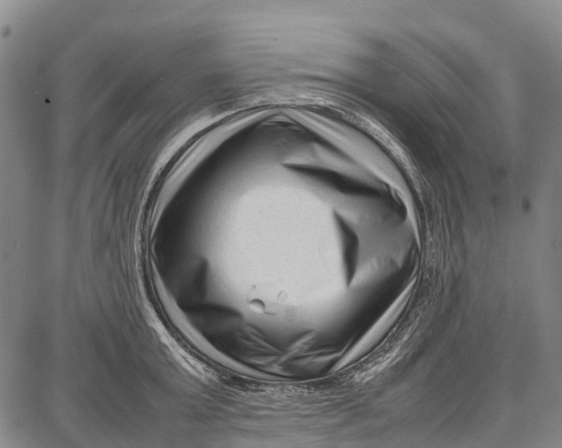 X0000087050803200705091134