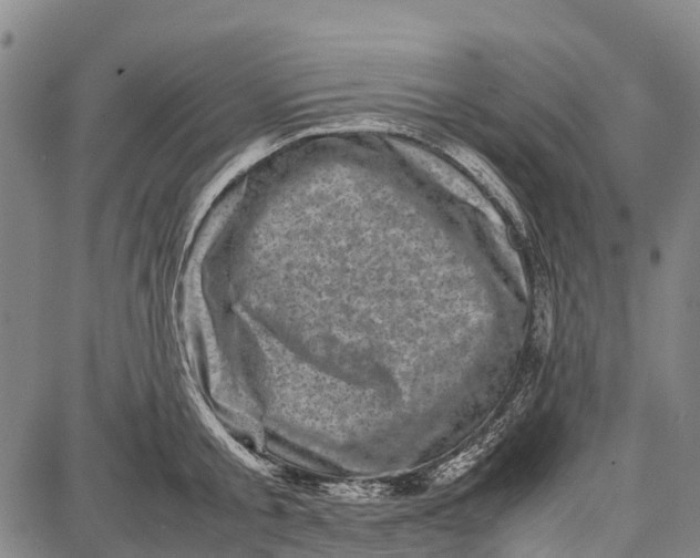 X0000087050805200705091134