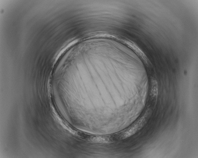 X0000087050806200705091134