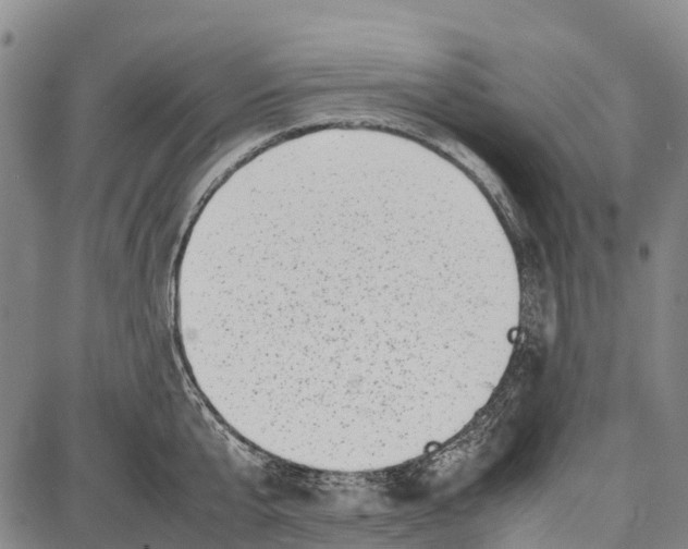 X0000087050807200705091134