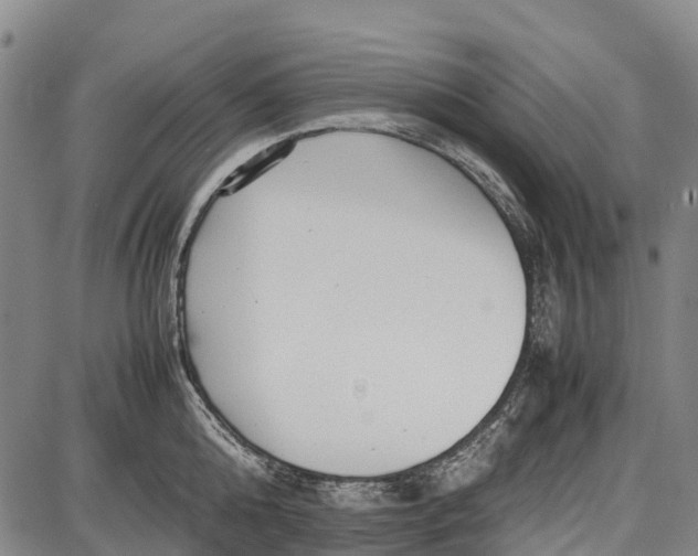 X0000087050808200705091134