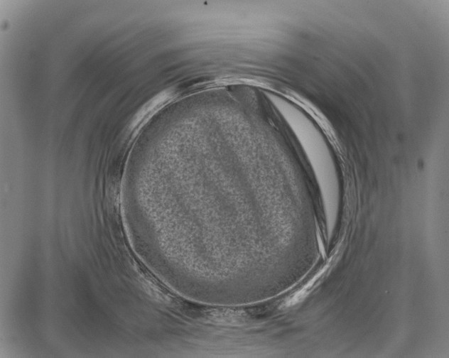 X0000087050809200705091134