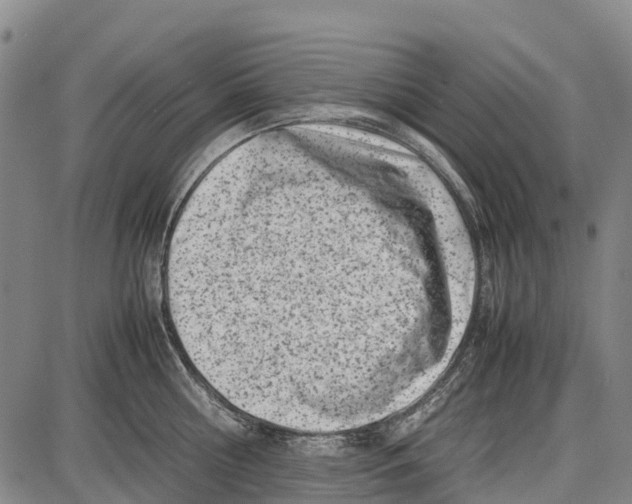 X0000087050810200705091134