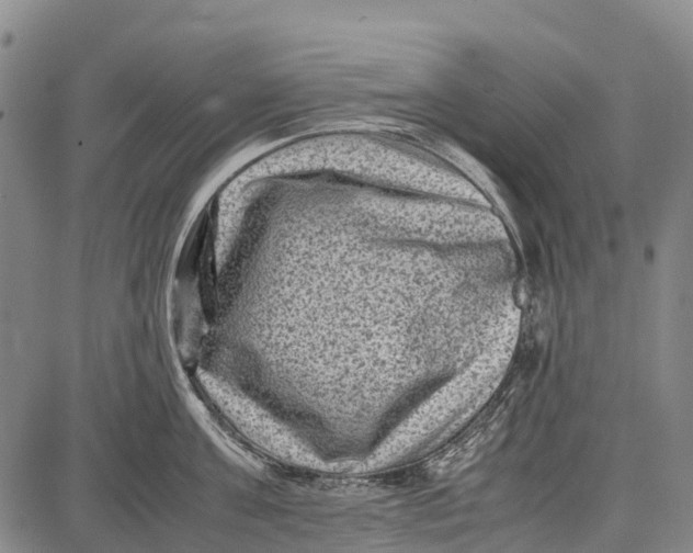 X0000087050811200705091134