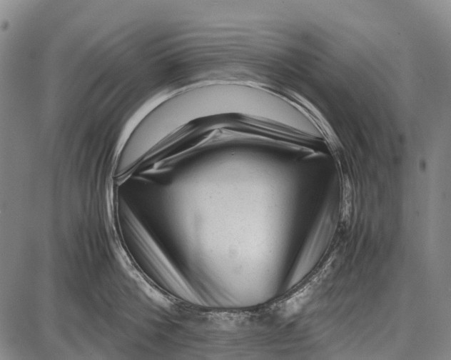 X0000087050812200705091134