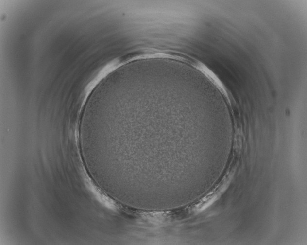 X0000087050813200705091134