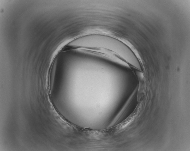 X0000087050815200705091134