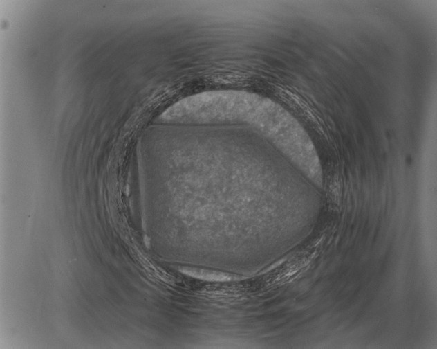 X0000087050817200705091133