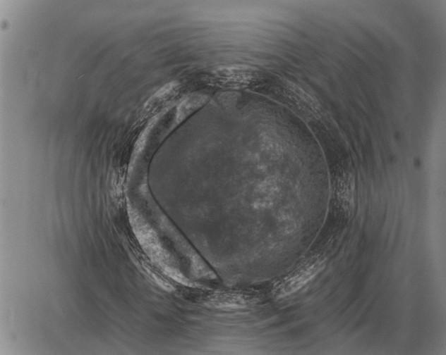 X0000087050818200705091133