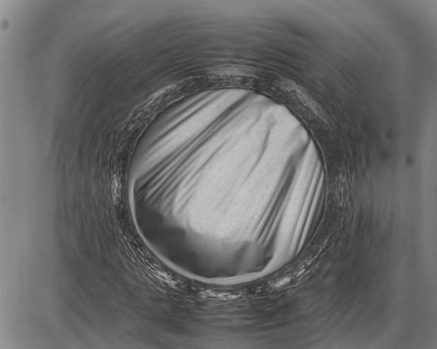 X0000087050821200705091133