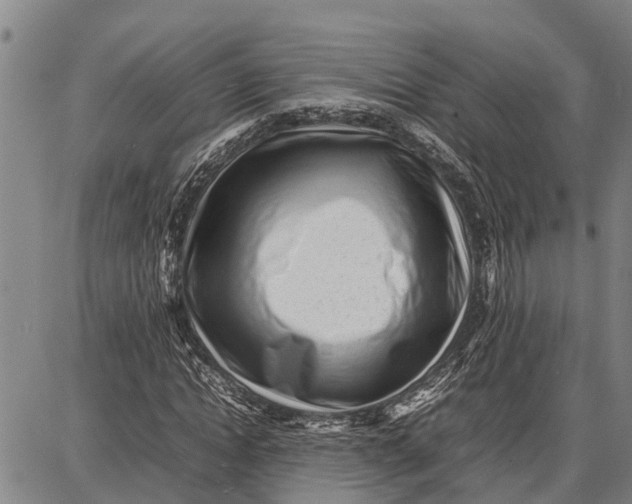 X0000087050822200705091133