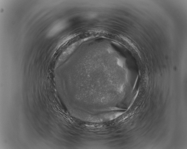 X0000087050823200705091133