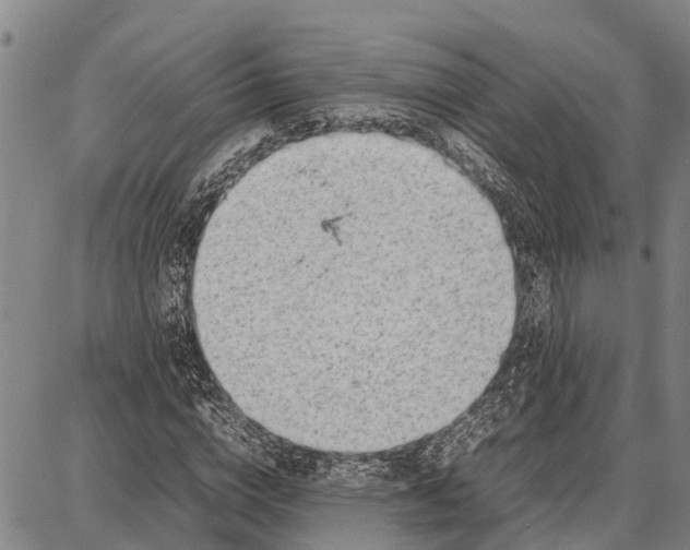 X0000087050824200705091133