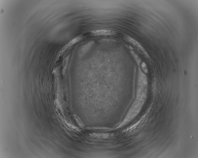 X0000087050825200705091133