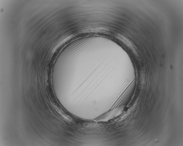 X0000087050826200705091133