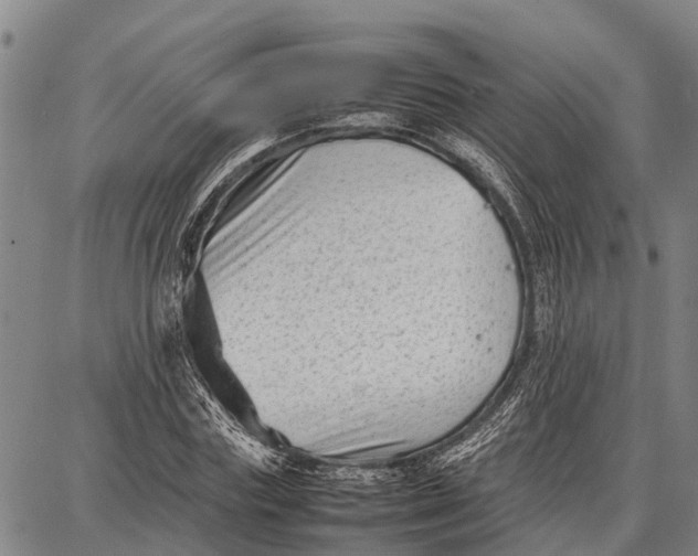 X0000087050827200705091133