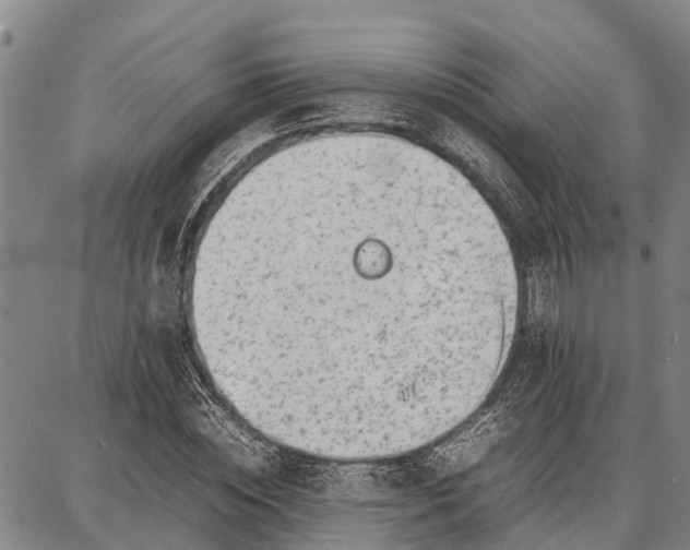 X0000087050828200705091133