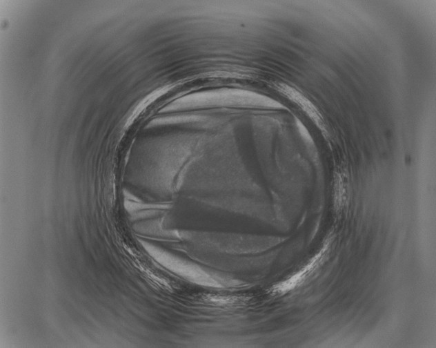 X0000087050829200705091133