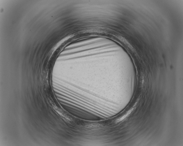 X0000087050830200705091133