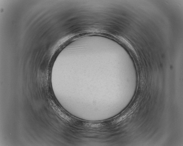 X0000087050831200705091133