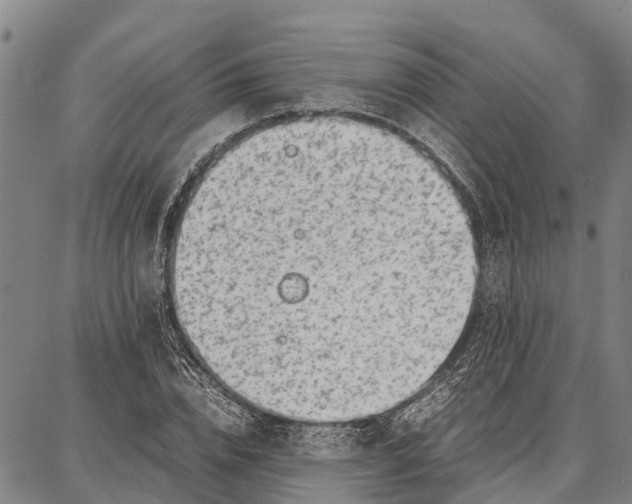 X0000087050832200705091133