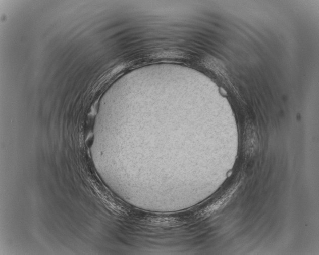 X0000087050833200705091133