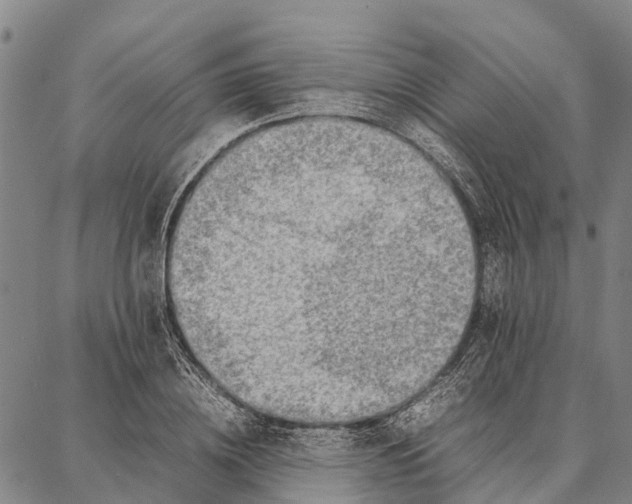 X0000087050836200705091133