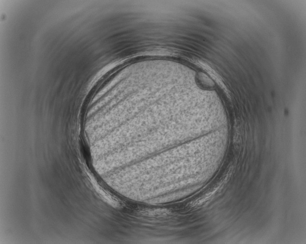 X0000087050837200705091133