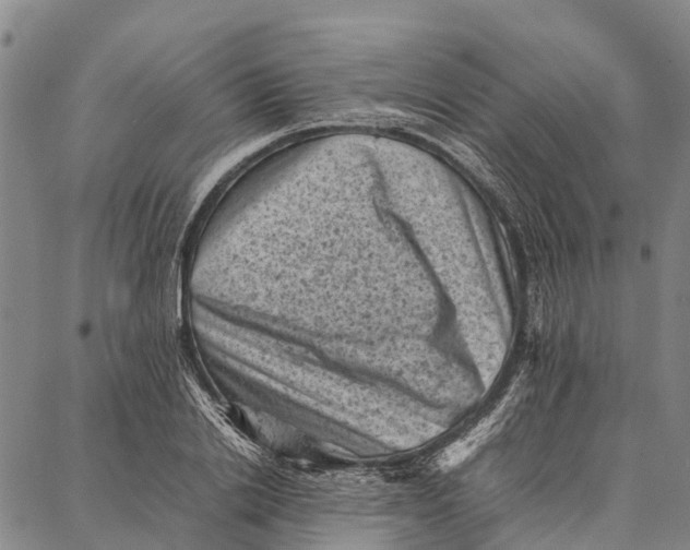 X0000087050838200705091133