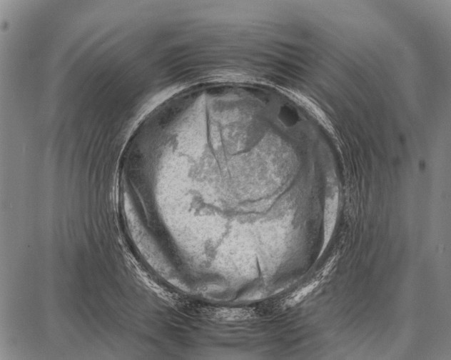 X0000087050839200705091133