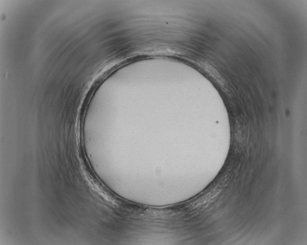 X0000087050840200705091133