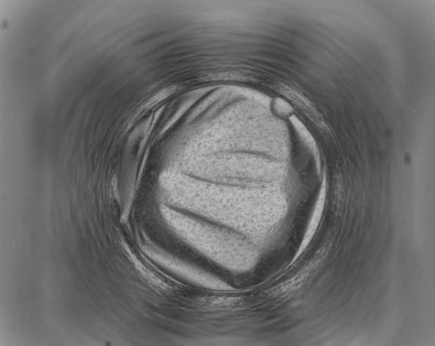 X0000087050841200705091133