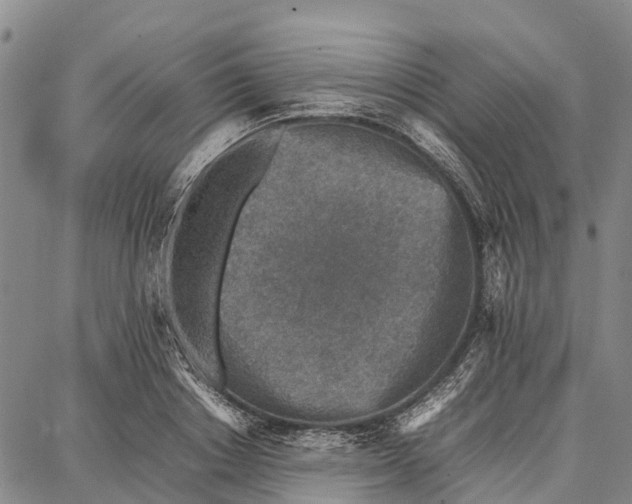 X0000087050842200705091134