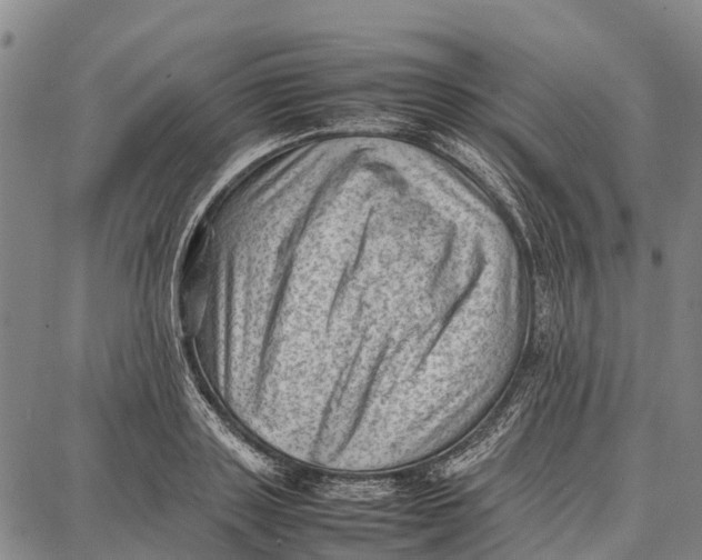 X0000087050843200705091134