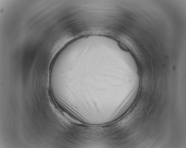 X0000087050844200705091134