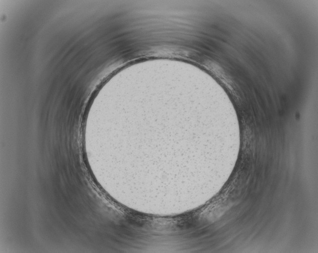 X0000087050848200705091134