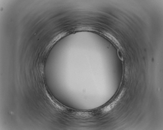 X0000087050849200705091134