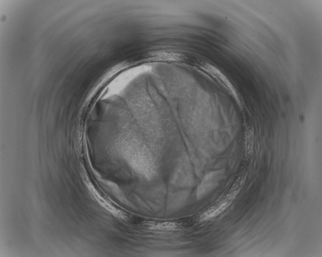 X0000087050851200705091134