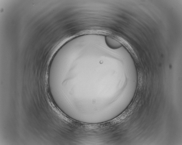 X0000087050852200705091134