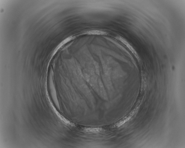 X0000087050853200705091134