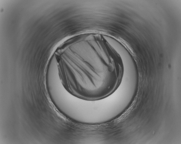 X0000087050854200705091134