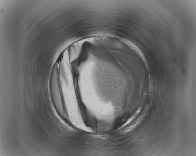 X0000087050855200705091134