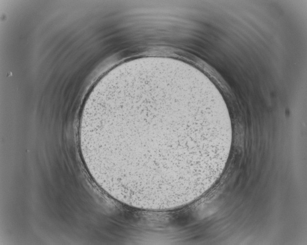 X0000087050856200705091134