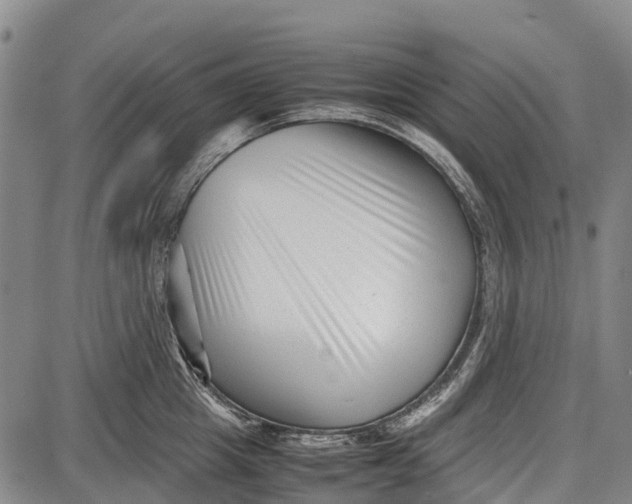 X0000087050857200705091134