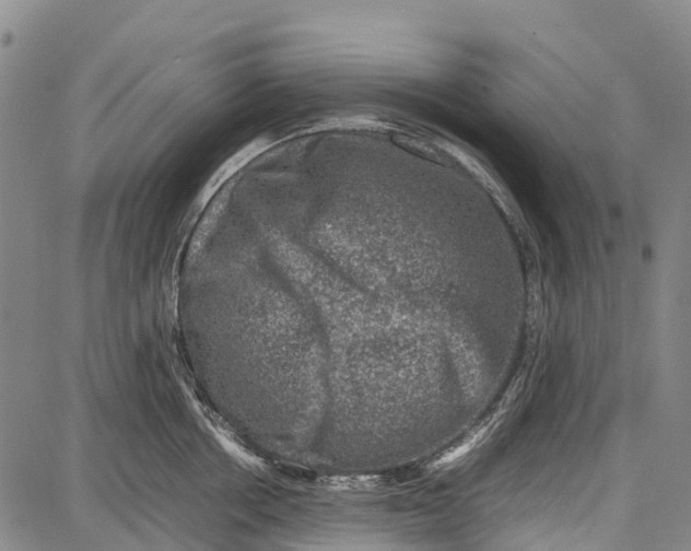 X0000087050858200705091134