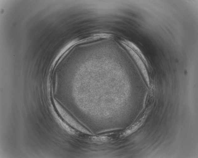 X0000087050859200705091134